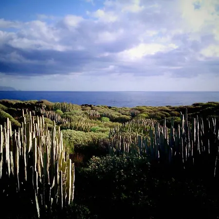 Crucero Vista Al Mar A 公寓 圭马尔港