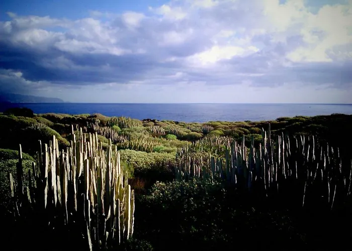 Crucero Vista Al Mar A Lägenhet Puertito de Guimar